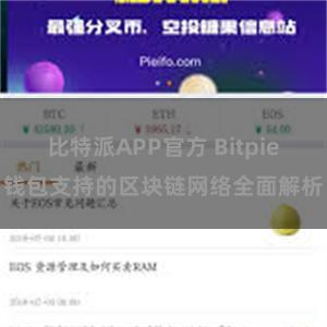 比特派APP官方 Bitpie钱包支持的区块链网络全面解析