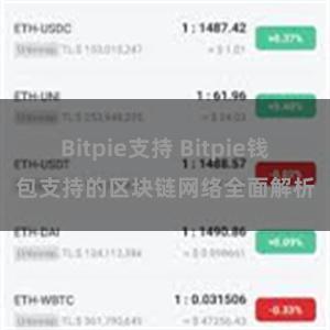 Bitpie支持 Bitpie钱包支持的区块链网络全面解析