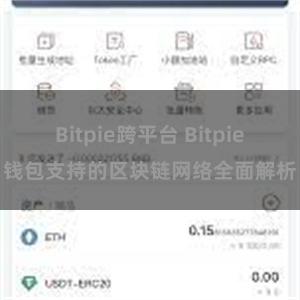 Bitpie跨平台 Bitpie钱包支持的区块链网络全面解析