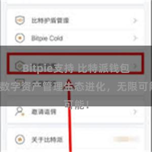 Bitpie支持 比特派钱包：数字资产管理生态进化，无限可能！