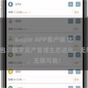 Bitpie APP客户端 比特派钱包：数字资产管理生态进化，无限可能！