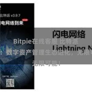 Bitpie在线客服 比特派钱包：数字资产管理生态进化，无限可能！