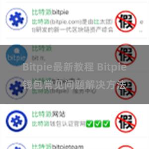 Bitpie最新教程 Bitpie钱包常见问题解决方法