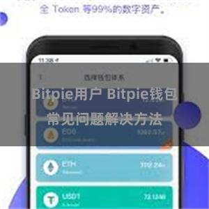 Bitpie用户 Bitpie钱包常见问题解决方法