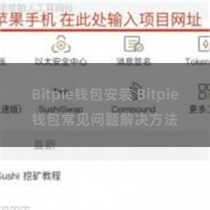 Bitpie钱包安装 Bitpie钱包常见问题解决方法