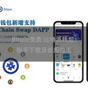 Bitpie免费 比特派钱包：新手下载及使用指南