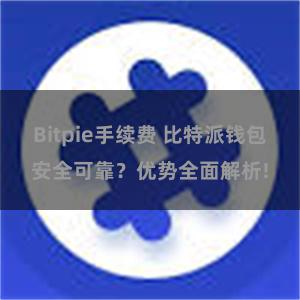 Bitpie手续费 比特派钱包安全可靠？优势全面解析!