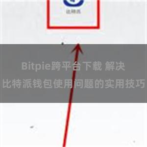 Bitpie跨平台下载 解决比特派钱包使用问题的实用技巧