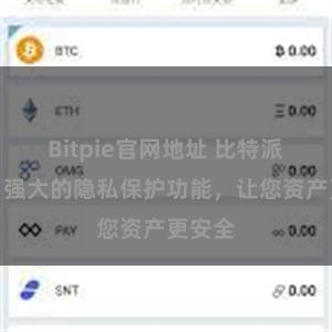 Bitpie官网地址 比特派钱包：强大的隐私保护功能，让您资产更安全