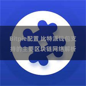 Bitpie配置 比特派钱包支持的主要区块链网络解析