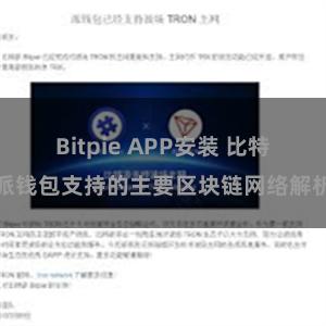 Bitpie APP安装 比特派钱包支持的主要区块链网络解析