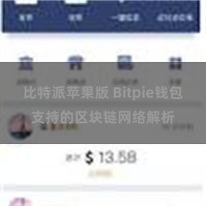 比特派苹果版 Bitpie钱包支持的区块链网络解析