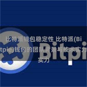 比特派钱包稳定性 比特派(Bitpie)钱包的团队背景与技术实力