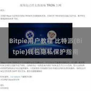 Bitpie用户教程 比特派(Bitpie)钱包隐私保护指南